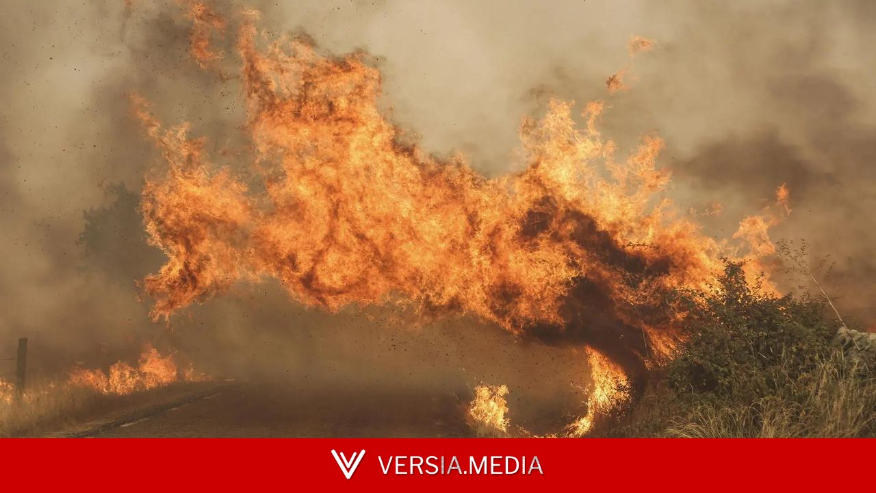 Ni seguir conduciendo ni apagar el fuego: qué hacer si te encuentras un incendio forestal al volante