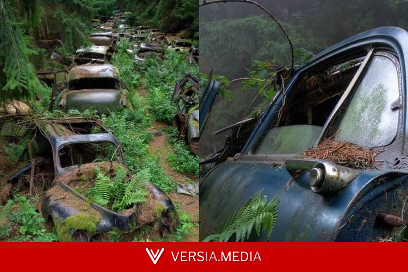 El 'atasco fantasma' del bosque belga: los 500 coches americanos que quedaron abandonados en Europa tras la Segunda Guerra Mundial